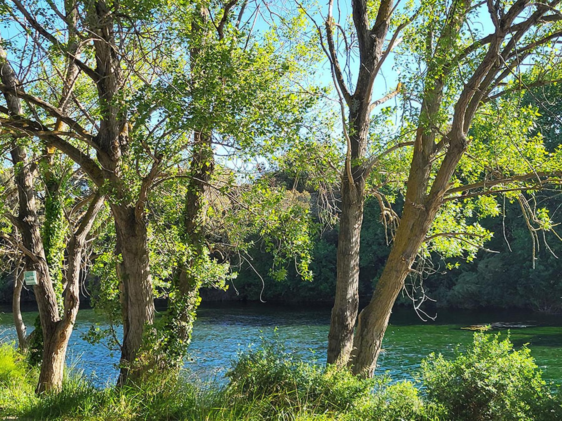 Camping Le Val De Cesse Mirepeisset Εξωτερικό φωτογραφία